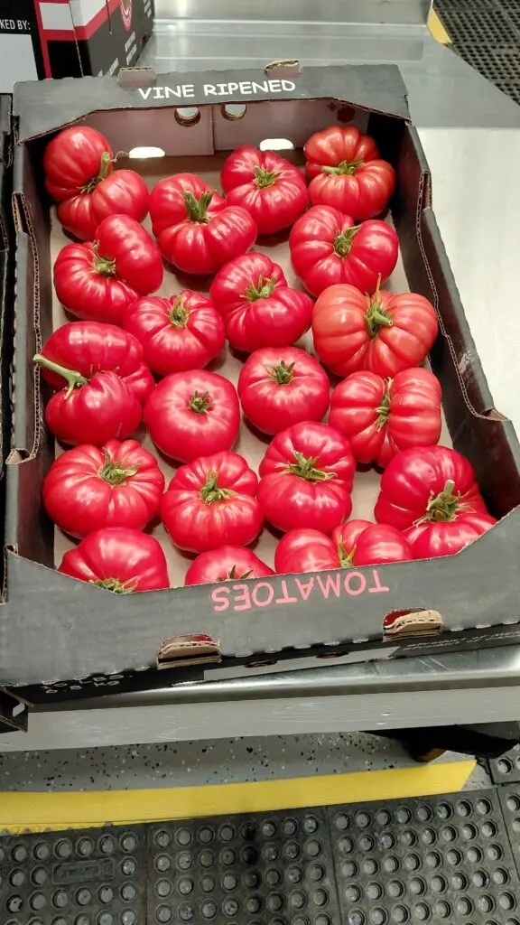 Vine Ripened Heirloom Tomatoes in Shipping Box